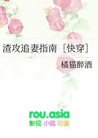 渣攻追妻火葬场快穿