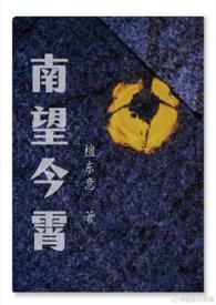 南望今霄(1V2)作者檀东意讲的什么