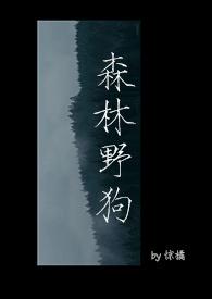 森林里群居的狗