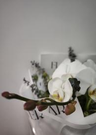 我的未婚妻欲求不满h