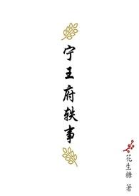 宁王府轶事by花生糖