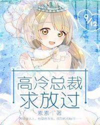 高冷总裁求复婚免费