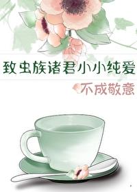 不成敬意免费