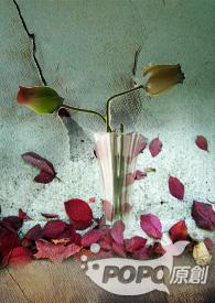 代孕是什么意思