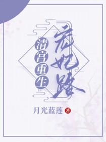 重生清宫之宠妃