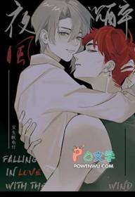 夜风沉醉 电视剧 在线观看