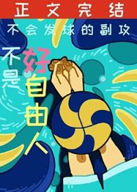 排球少年里面的排球