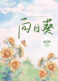 向日葵遭深交所下发关注函