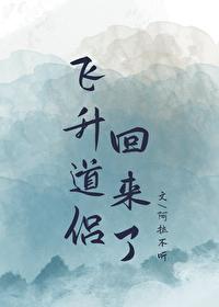 道侣飞升不记得女主晋江