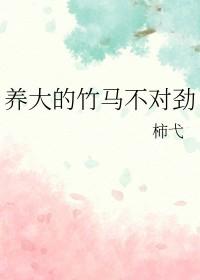 竹马很不错全文免费阅读