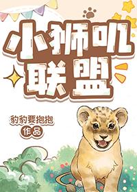 小狮互联科技有限公司