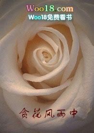 贪花风雨中by大金刚全文