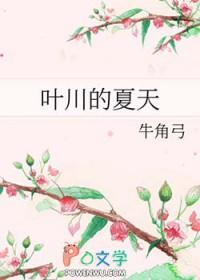 叶川的夏天番外阅读