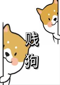 贱狗是什么狗