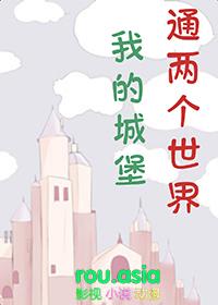 我的世界 城堡