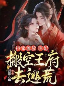 抄家流放医妃搬空王府去逃荒著旺夫的灯