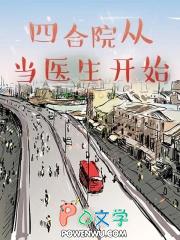 四合院从当医生开始的火红年代篱笆