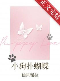 狗狗抓蝴蝶