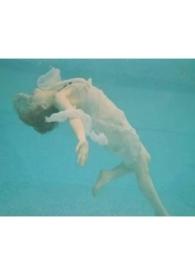 人非草木孰能无情啊怎么回复