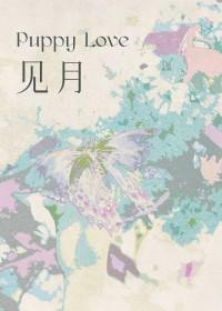 见月讲的什么