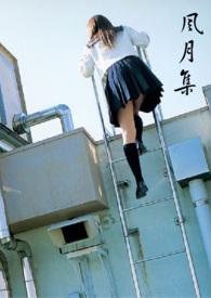 风月集免费