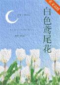 白色鸢尾花语