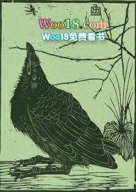 空壳公司的法人代表的风险