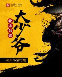 北宋最强大少爷 起点