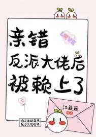 笨蛋美人的错误攻略后