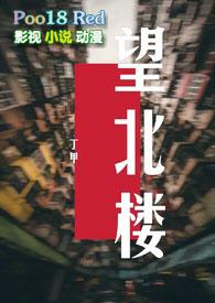 望北楼盘