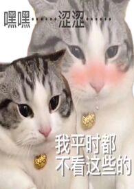 炉甘石使用方法