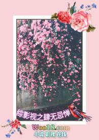 综影视之无憾
