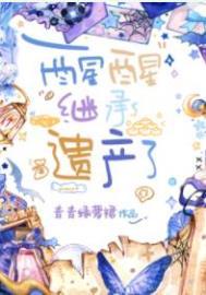 继承遗产了无防盗