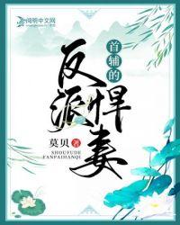 首辅的反派悍妻风过无痕