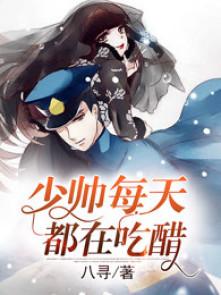 少帅每天都在吃醋电视剧免费观看