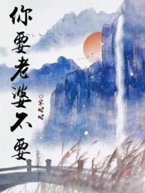 你要老婆不要老陈醋完结