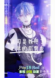 上司是我前任的