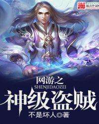 网游之神级盗贼动画