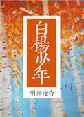 白杨少年 讲的什么
