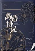 离婚协议电视剧免费观看完整版