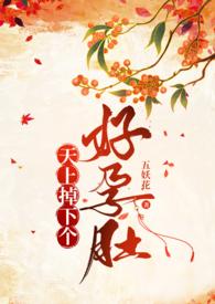 天上掉下个小媳妇(穿越 包子)