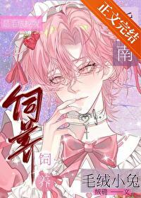 毛绒兔怎么清洗