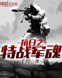 抗日之特战兵魂txt