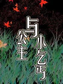 公主乞丐系列