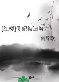 侧妃地位