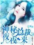 神秘总裁夜夜宠免费阅读全文