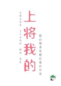我过上将