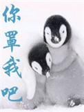 你罩我吧晋江