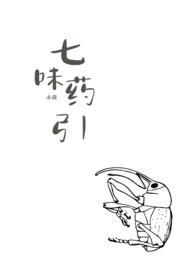 七味是什么