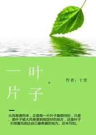一片叶子图片
